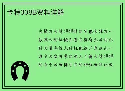 卡特308B资料详解